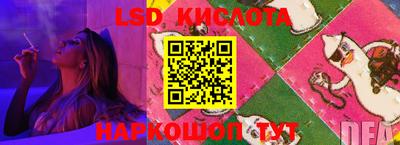 СК Гуково
