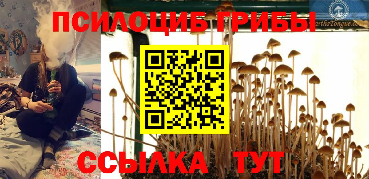Всеволожск  Псилоцибиновые грибы Magic Shrooms  Псилоцибиновые грибы MAGIC MUSHROOMS  Вход с VPN 